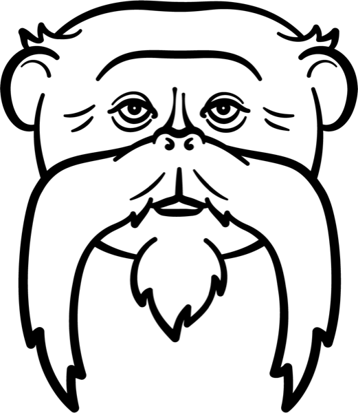 Monkey Fungi